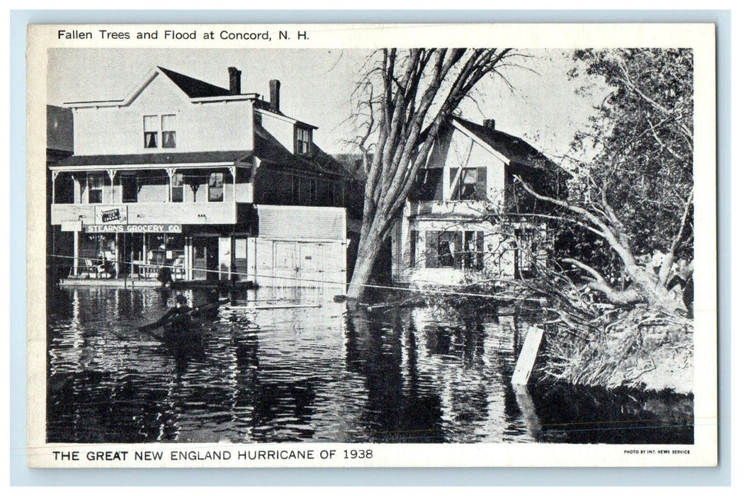 Fallen Trees And Flood At Concord New Hampshire NH, Stears Grocery Co. Postcard