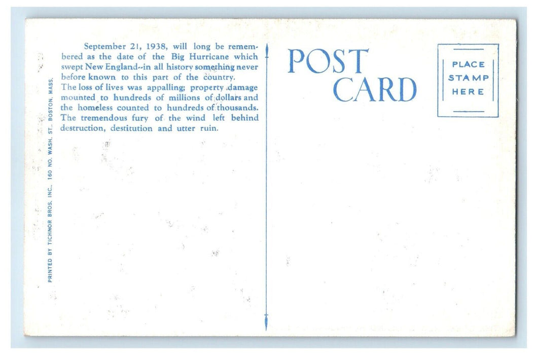 Fallen Trees And Flood At Concord New Hampshire NH, Stears Grocery Co. Postcard