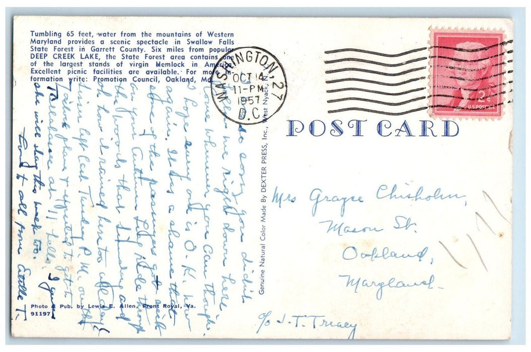 1957 Swallow Falls State Forest Cascades Creek Garrett Maryland MA Postcard
