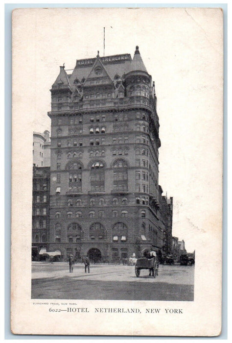 Hotel Netherland Building Street View Horse Carriage New York City NY Postcard