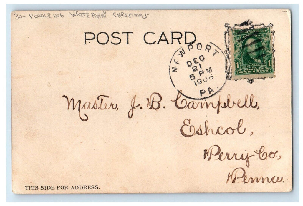 1906 Merry Christmas Poodle Dog Write Away Wheat Girl Dressed Pink Postcard