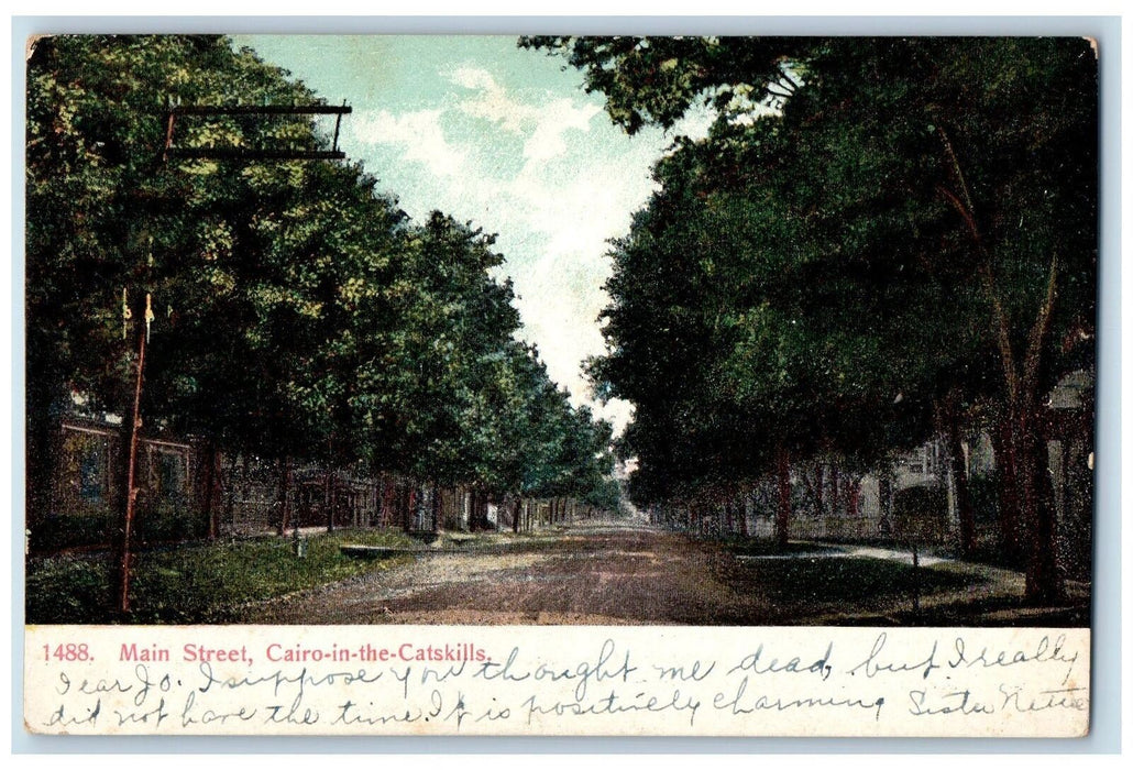 1908 Main Street Tree Cairo In The Catskills New York NY Posted Vintage Postcard