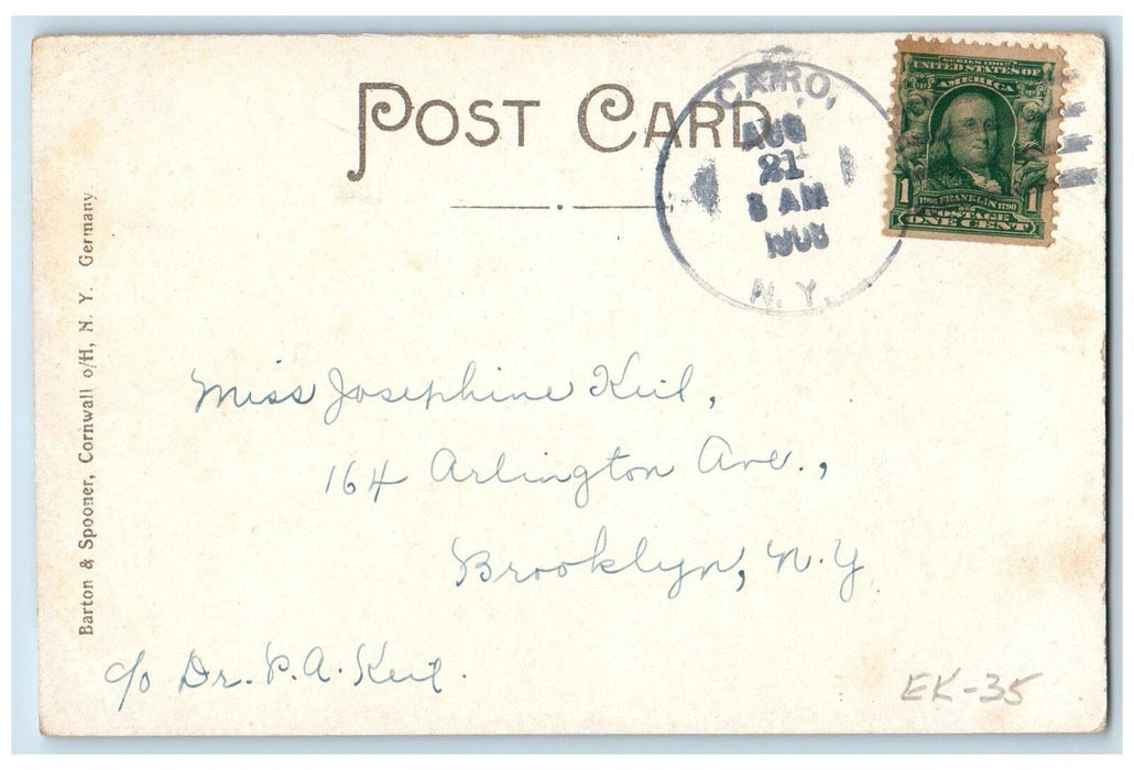 1908 Main Street Tree Cairo In The Catskills New York NY Posted Vintage Postcard