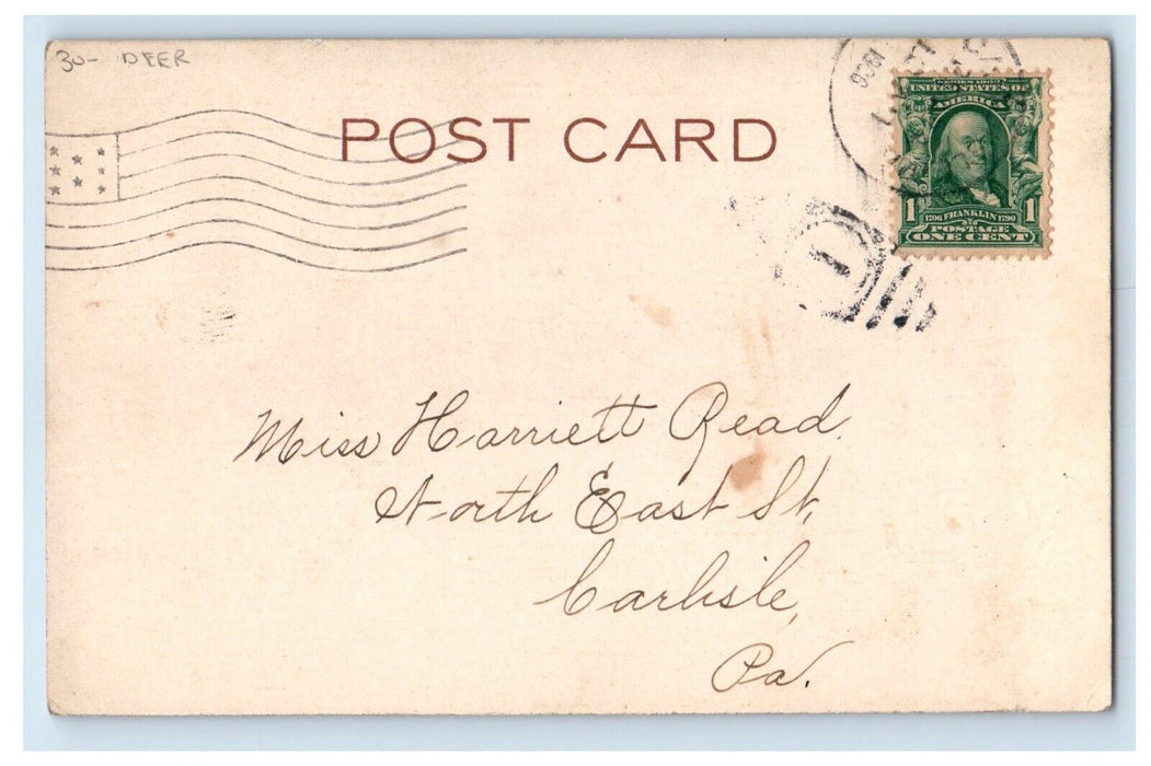 1906 Merry Christmas Mother And Daughter Scared To Deer Embossed Postcard