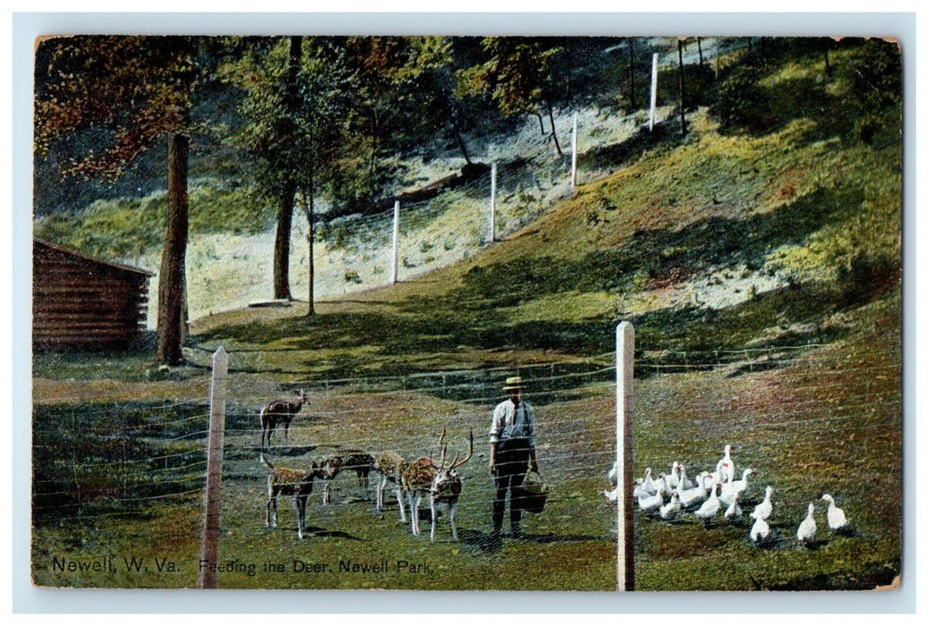 c1910's Feeding The Deer Newell Park Newell West Virginia WV Unposted Postcard