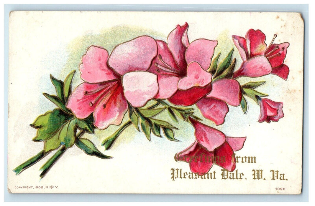 c1910's Greetings From Pleasant Dale WV, Pink Lily Flowers Hampshire Postcard