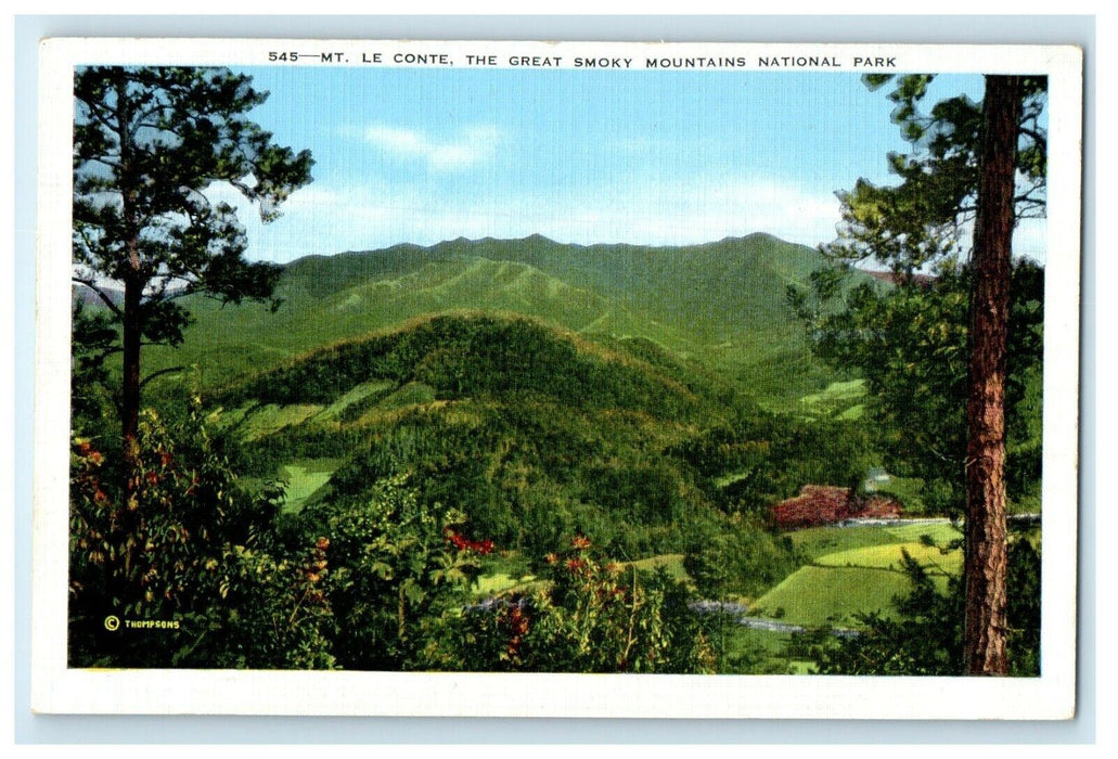 c1940's Mt. Le Conte The Great Smoky Mountains National Park Tennessee Postcard