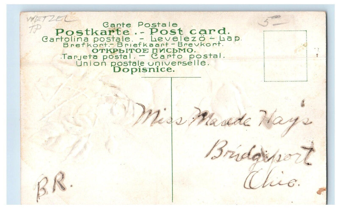 1912 Greetings From Proctor West Virginia WV, Flowers Glitter Embossed Postcard