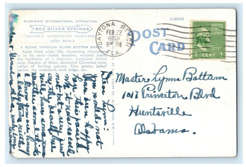 1950 Florida's International Attraction Nature's Underwater Fairyland Postcard