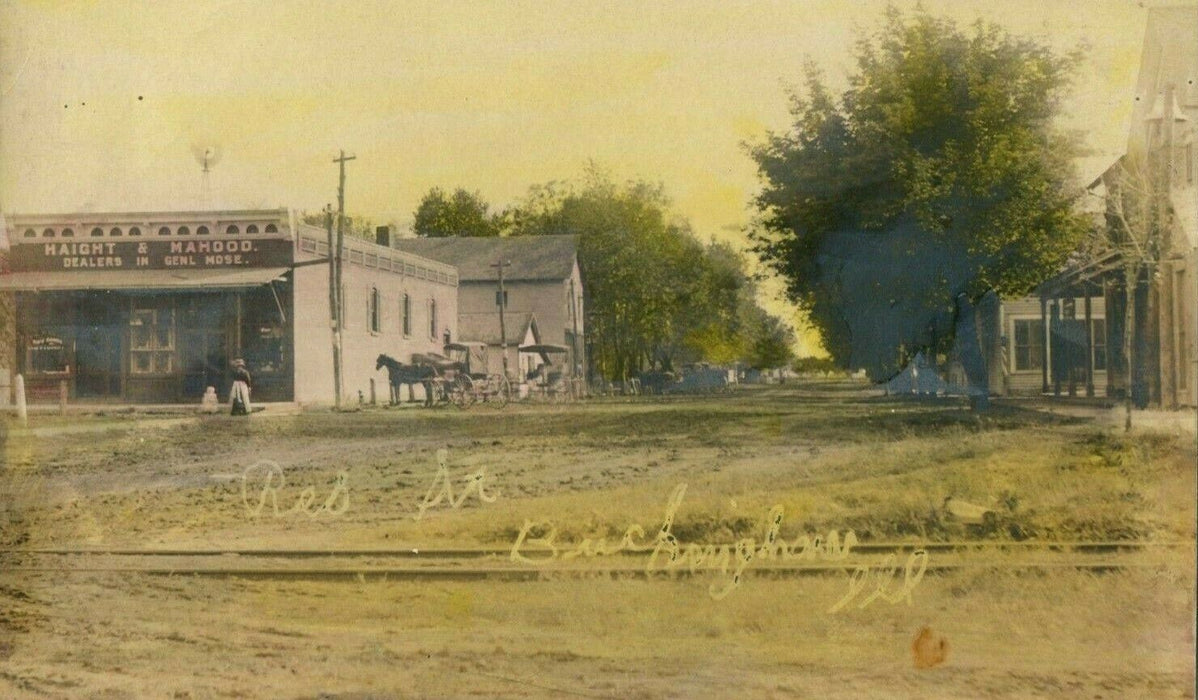 Buckingham Illinois c1910 RPPC Photo Shops Antique Postcard