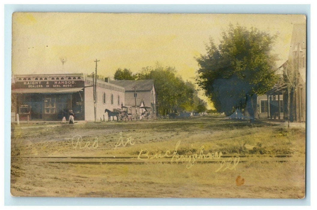 Buckingham Illinois c1910 RPPC Photo Shops Antique Postcard
