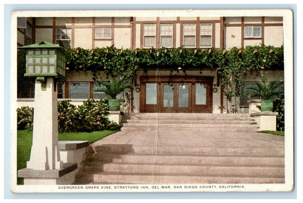 c1910 Evergreen Grape Vine Stratford Inn, San Diego County CA Phostint Postcard
