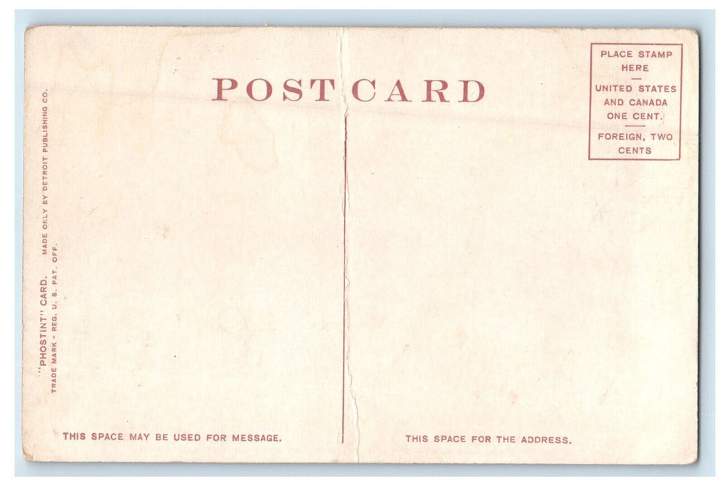 c1910 Evergreen Grape Vine Stratford Inn, San Diego County CA Phostint Postcard