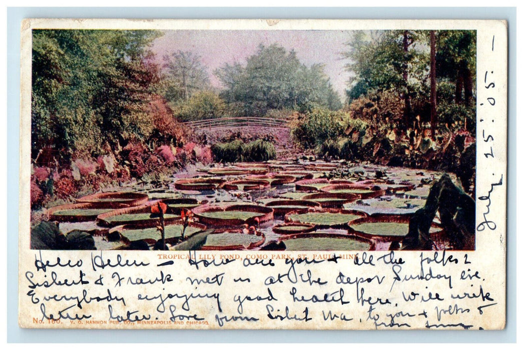 1905 Tropical Lily Pond Como Park St. Paul Minnesota MN Posted Postcard
