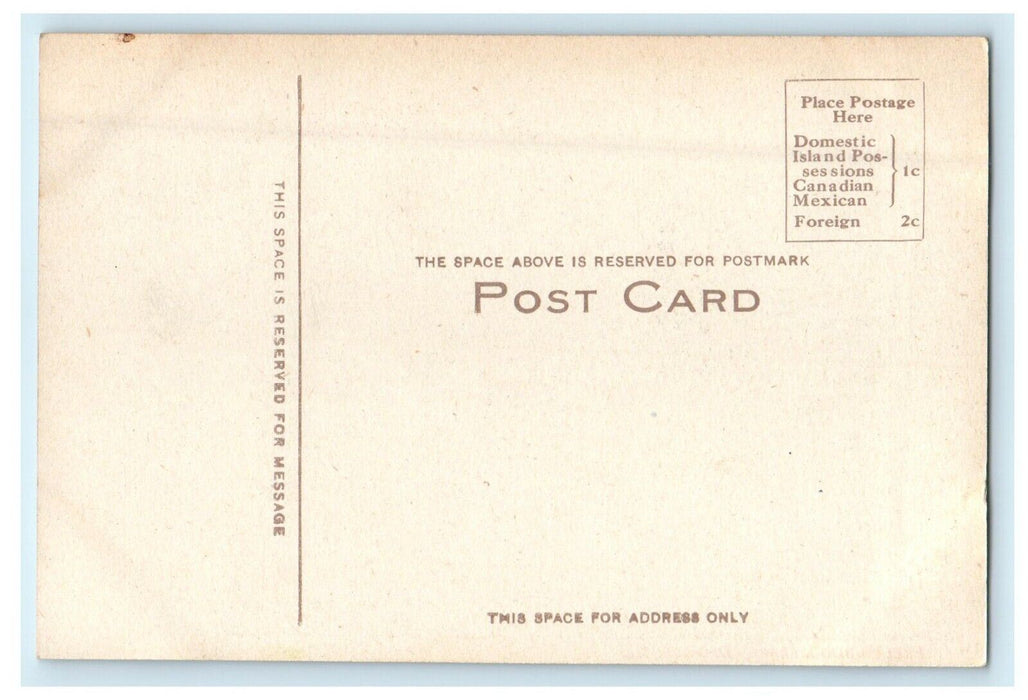 c1910's Free Public Library Building Decatur Illinois IL Antique Postcard