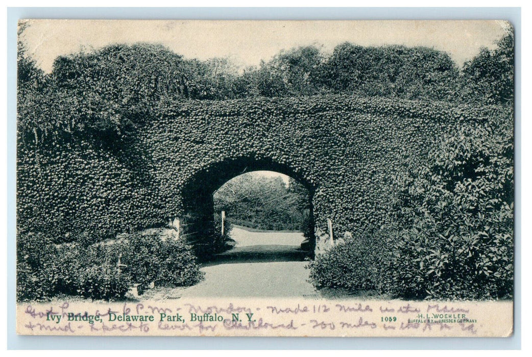 1906 Ivy Bridge, Delaware Park, Buffalo New York NY Posted Antique Postcard