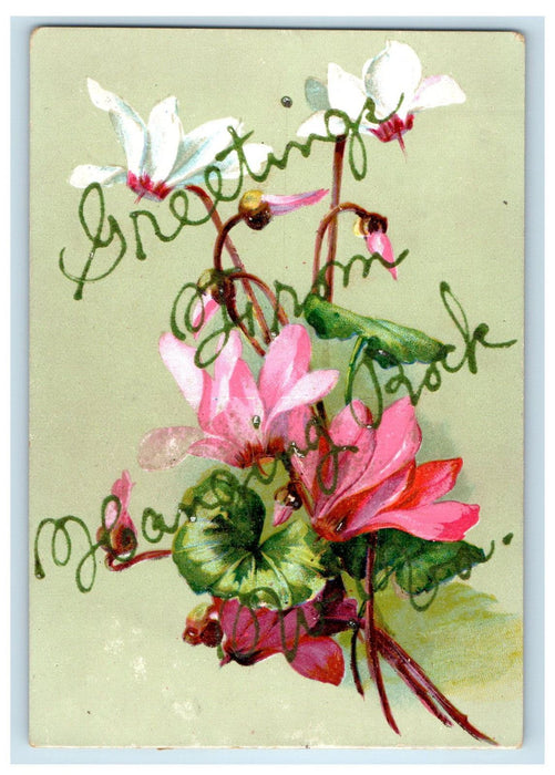 1908 Greetings from Hanging Rock West Virginia WV White and Pink Flower Postcard