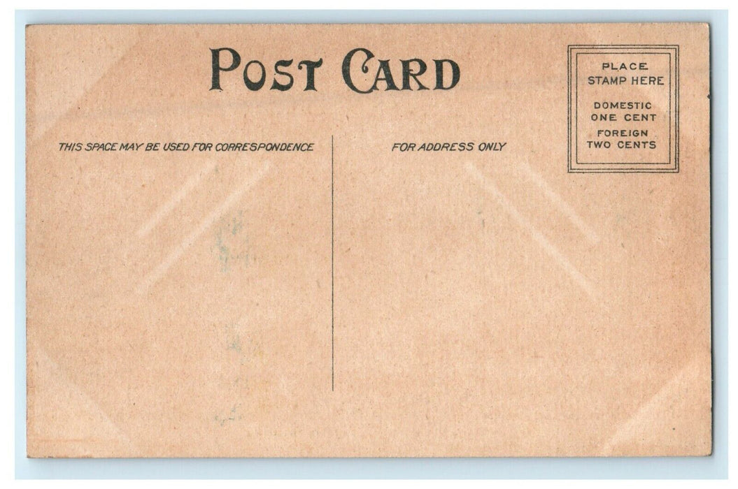 c1910's Carnegie Library View Manchester Iowa IA Unposted Antique Postcard