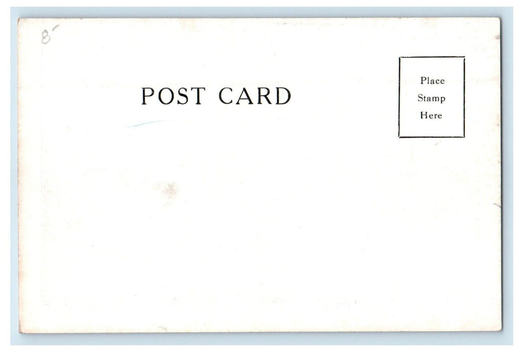 View Of Bushnell Park Great Flood Hartford Connecticut CT Unposted Postcard