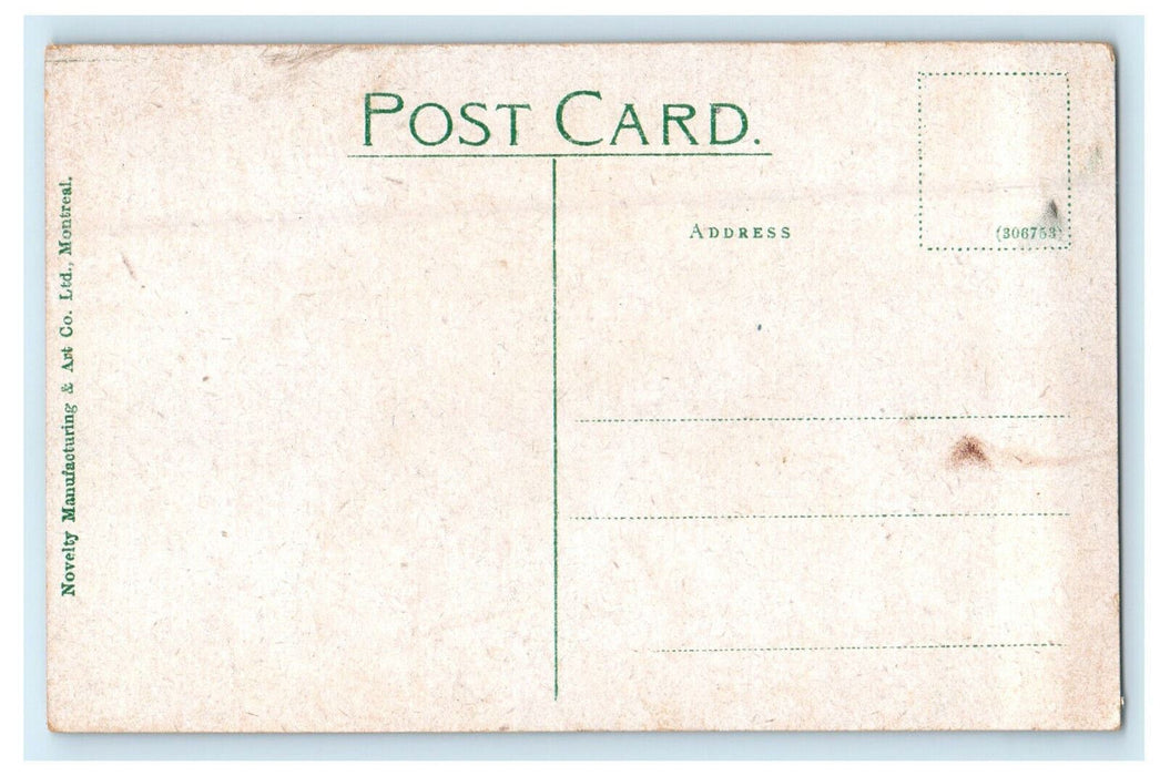 c1910 Scene of Icy Mountain, Glacier British Columbia Canada CA Foreign Postcard