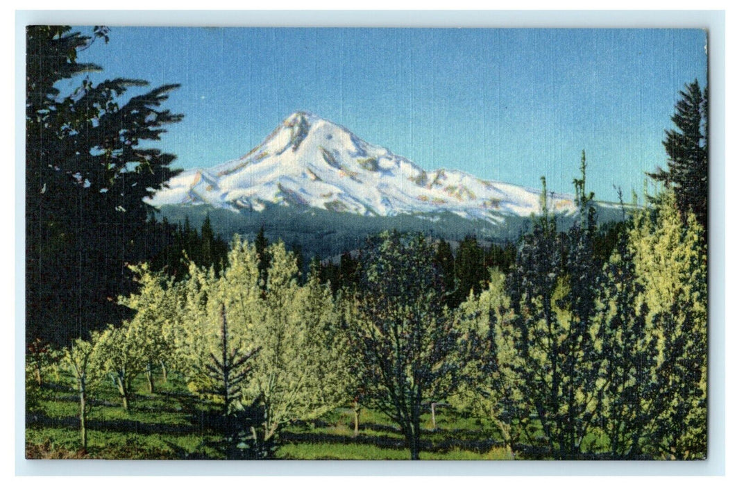 c1950's Mount Hood Oregon OR Union Pacific Railroad Unposted Postcard