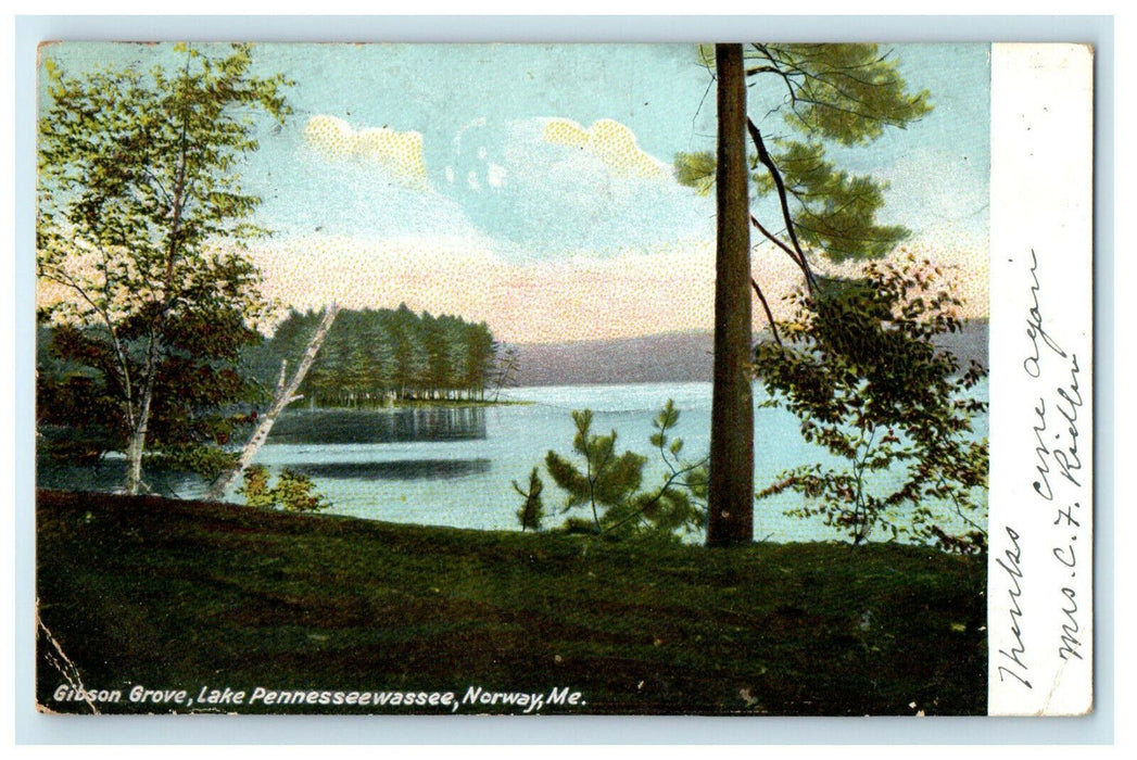 1906 Gibson Grover, Lake Pennesseewassee Norway Maine ME Antique Posted Postcard