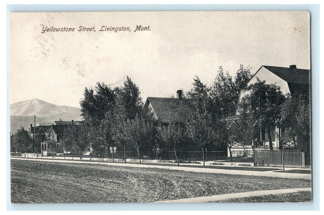 c1910 Yellowstone St. Livingston Montana MT Posted Antique Postcard