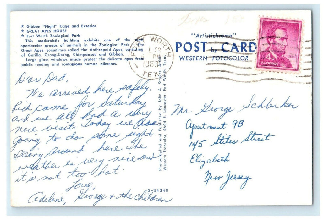 1963 Apes House Cage And Exterior Zoological Park Forth Worth Texas TX  Postcard