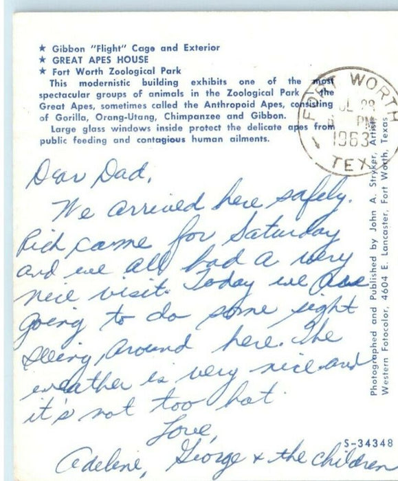 1963 Apes House Cage And Exterior Zoological Park Forth Worth Texas TX  Postcard