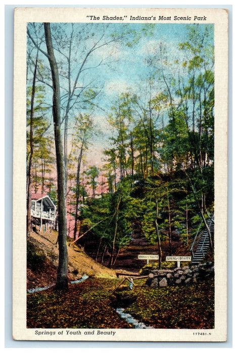 c1920s Springs of Youth and Beauty The Shades Scenic Park Indiana IN Postcard
