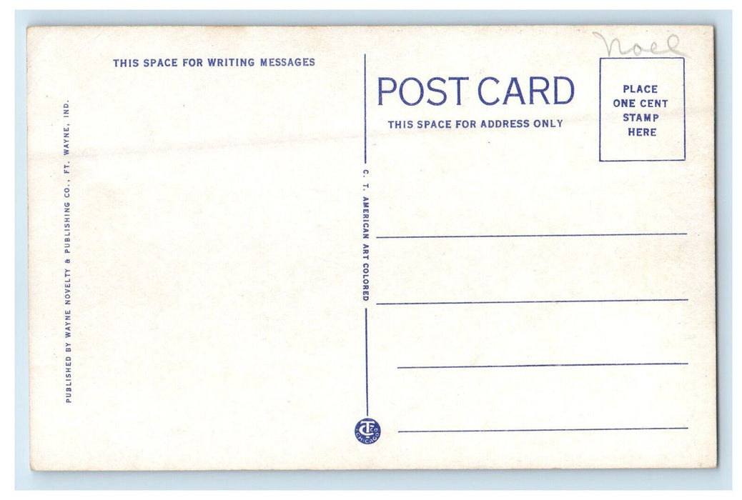c1920s Fayette Memorial Hospital Connersville Indiana IN Unposted Postcard