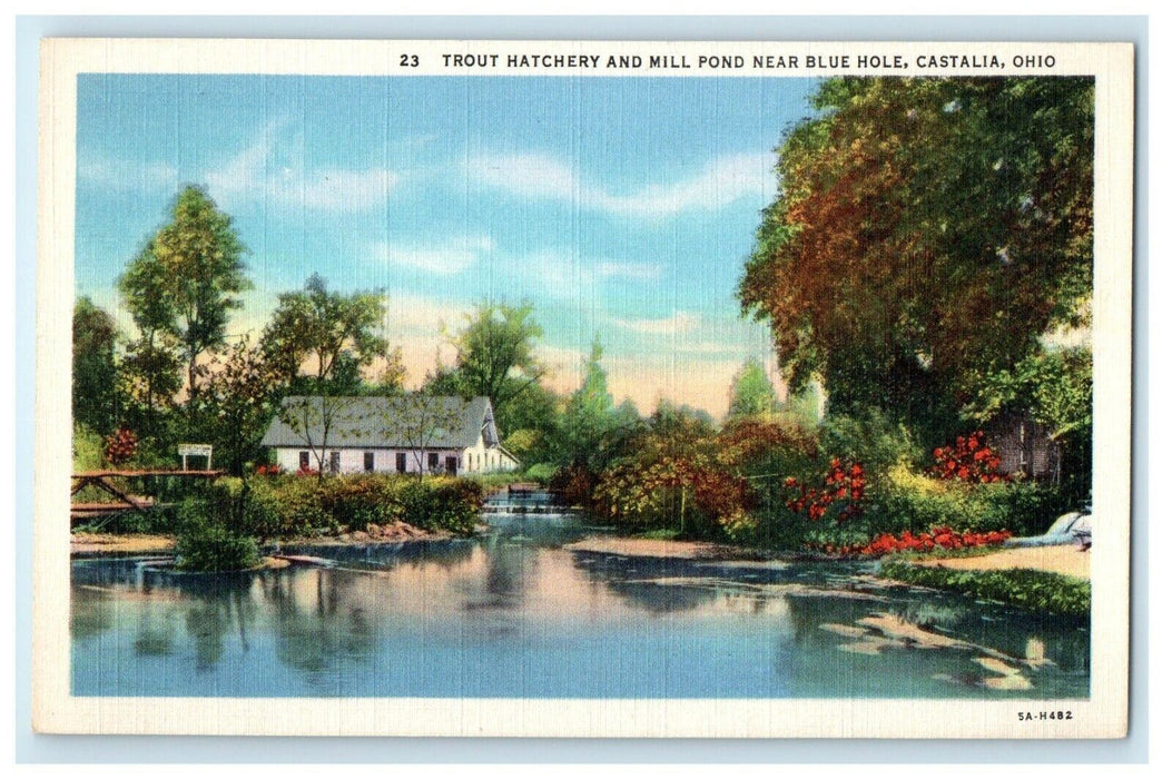 c1940's Trout Hatchery And Mill Pond Near Blue Hole Castalia Ohio OH Postcard