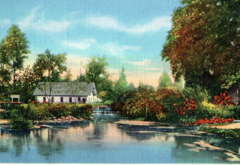 c1940's Trout Hatchery And Mill Pond Near Blue Hole Castalia Ohio OH Postcard