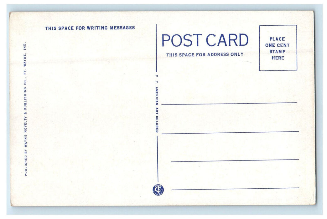 c1930s Hentry County Hospital, Newcastle Indiana IN Unposted Vintage Postcard