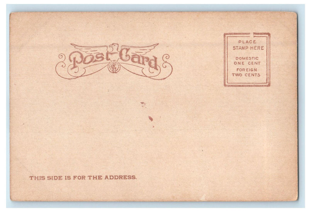 c1905 Goshen College Goshen Indiana IN Antique Unposted Postcard