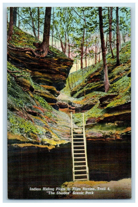 c1940s Indian Hiding Place in Frisz Ravine "The Shades" Scenic Park IN Postcard