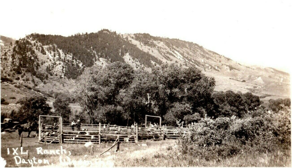 c1940's Animal Pen IXL Ranch Dayton Wyoming WY RPPC Photo Postcard