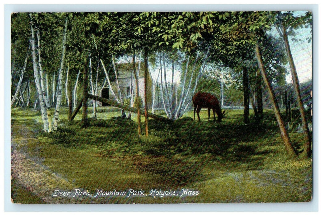 c1914 Deer Park, Mountain Park, Holyoke, Massachusetts MA Antique Postcard