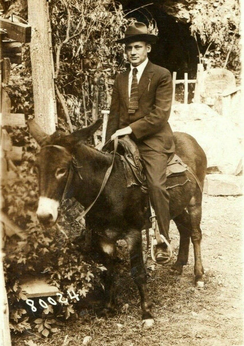 c1910 Man on Donkey Happy Hollow Hot Springs Arkansas AR RPPC Photo Postcard