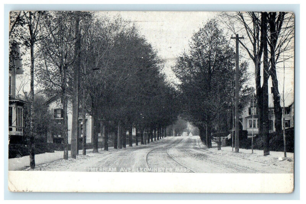 1910 Meriam Avenue Tree Linen Leominster Massachusetts MA Antique Postcard
