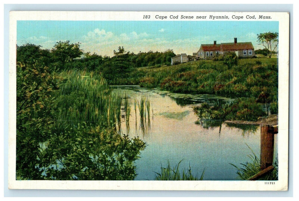 c1939 Cape Cod Scene Near Hyannis, Cape Cod Massachusetts MA Vintage Postcard
