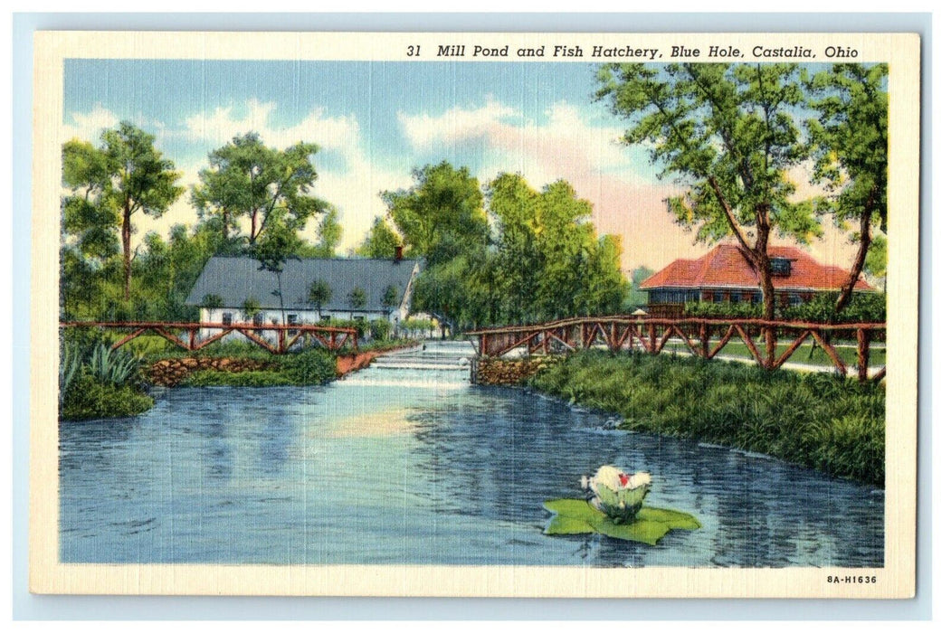 c1940's Mill Pond And Fish Hatchery Blue Mole Castalia Ohio OH Vintage Postcard