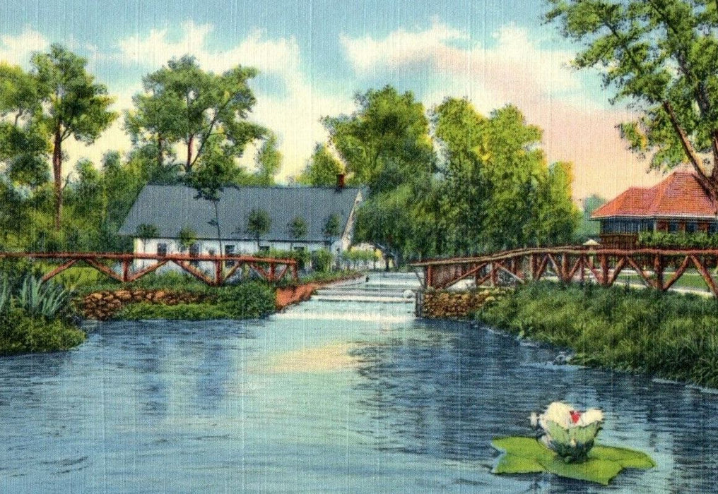 c1940's Mill Pond And Fish Hatchery Blue Mole Castalia Ohio OH Vintage Postcard