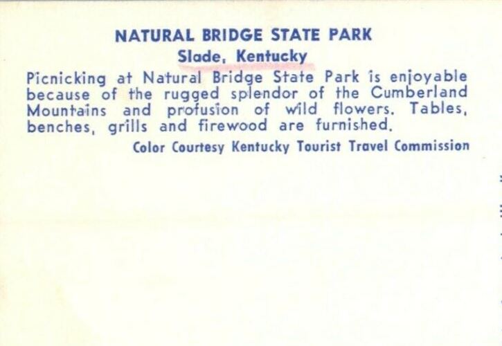 c1950's Natural Bridge State Park Slade Kentucky KY Unposted Vintage Postcard