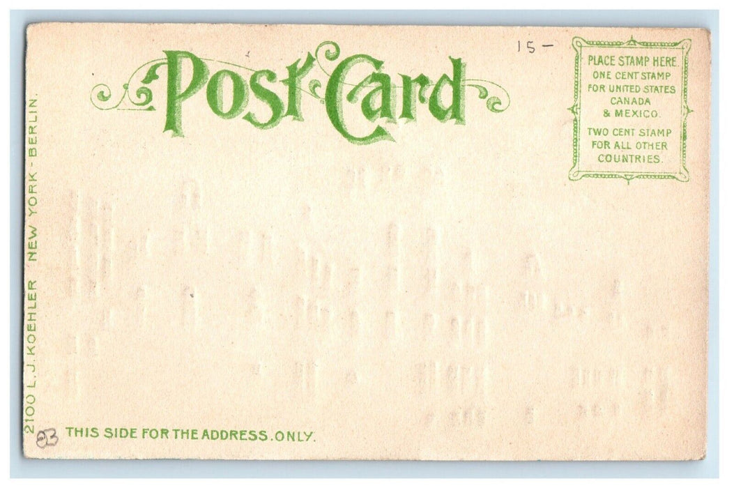 c1910 HTL Public Library Buffalo New York NY Unposted Hold to Light Postcard