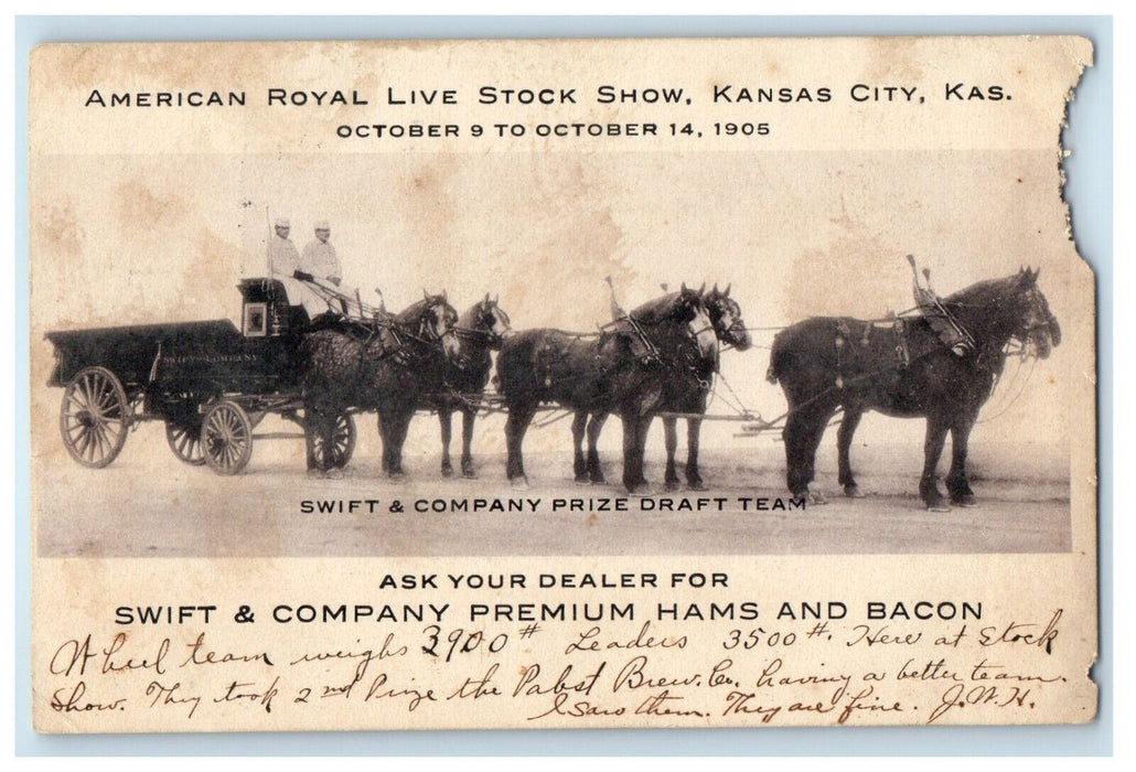 1905 American Royal Live Stock Show Kansas City Swift Co. Horses Wagon Postcard