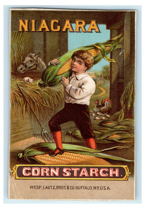 Niagara Corn Starch Holland & Son Groceries Amherst MA Advertising Trade Card