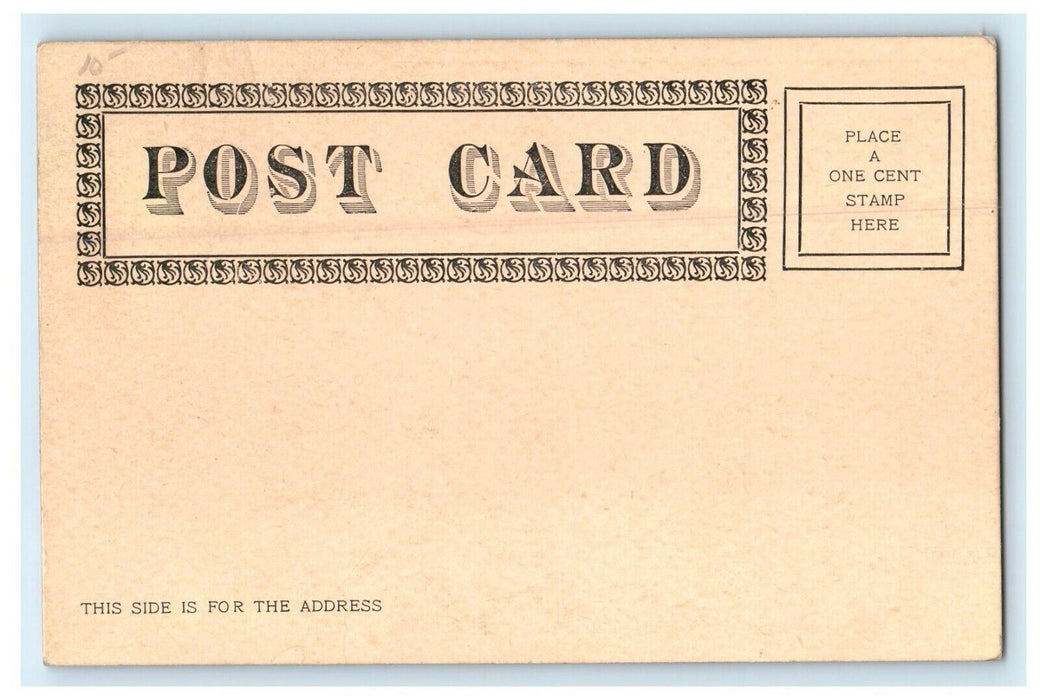 c1905 Lake View Avenue Houses Sterling JC Massachusetts MA Antique Postcard