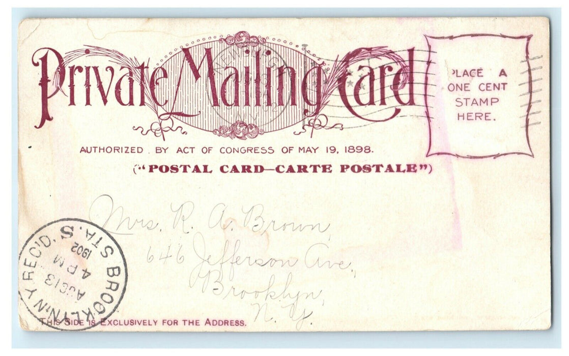 1902 Queen of the Hudson Steamer Boat Mary Powell PMC Posted Antique Postcard