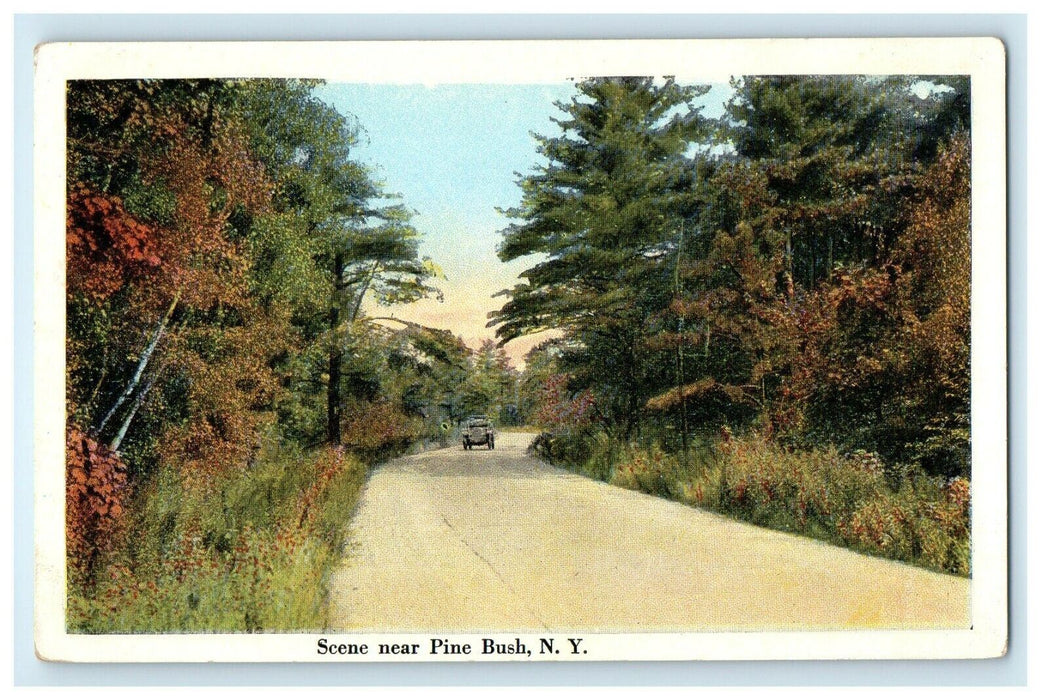 c1910 Scene Near Pine Bush Roadway Car New York NY Unposted Antique Postcard